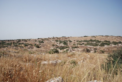 Beit Lehi - on the surface