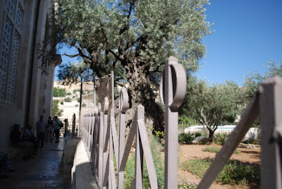 Path around the garden, unlike the private garden, we couldn't walk among the trees