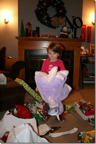 IMG_2390 IMG_2390