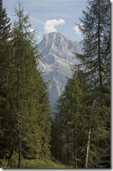 Scorcio sulle Pale di San Martino