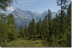 Scorcio sulle Pale di San Martino