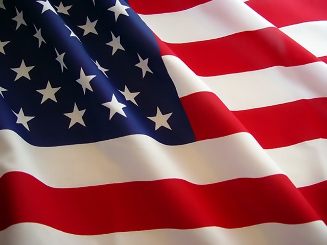 [american-flag-2a[13].jpg]