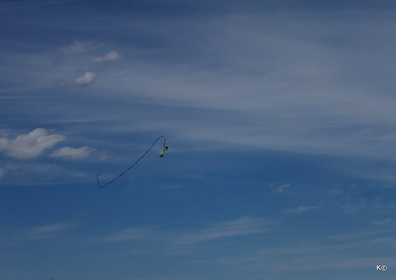 IMAGE: http://lh3.ggpht.com/_hdZasF15SMc/S70wZJ0RkxI/AAAAAAAAHNs/zgyz2f3dPAA/s800/IMG_3647.JPG