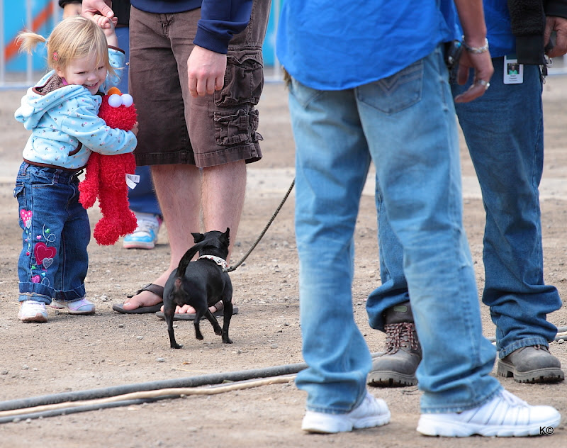 IMAGE: http://lh3.ggpht.com/_hdZasF15SMc/TKgBjsXYC6I/AAAAAAAAN8s/u8FVBjOZhMU/s800/2010_09_25_7359.JPG