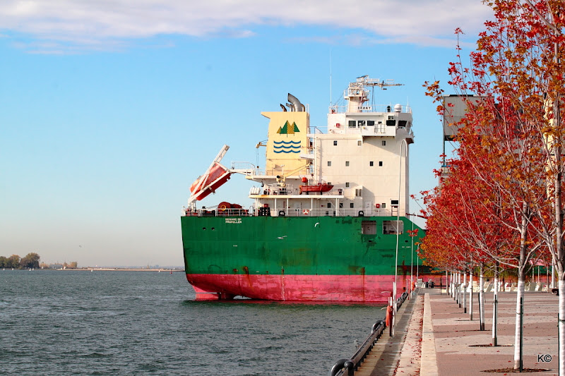 IMAGE: http://lh3.ggpht.com/_hdZasF15SMc/TL5XBWID8qI/AAAAAAAAObw/6Lpl8knr4m4/s800/2010_10_19_9169.JPG