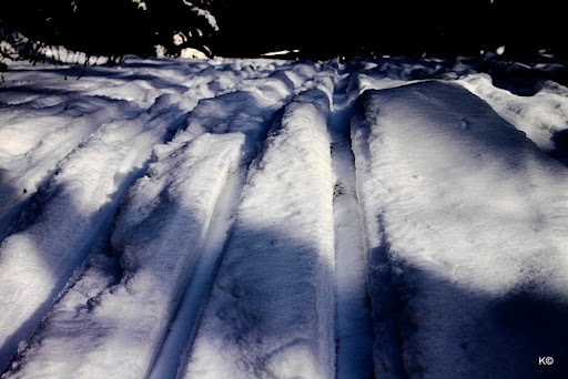 IMAGE: http://lh3.ggpht.com/_hdZasF15SMc/TSkaAwxyK8I/AAAAAAAAQUA/hQl1M1BHGks/IMG_8184.JPG