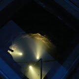P1050914.jpg
