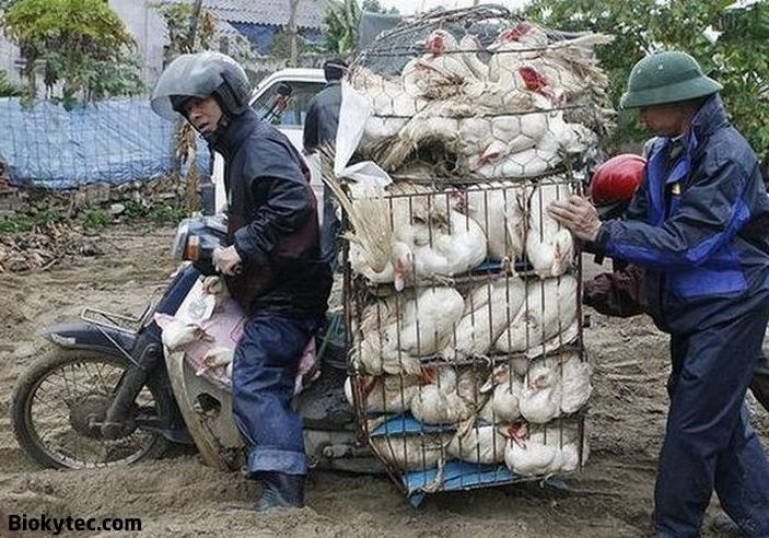 [Transportando cosas en china - www.Biokytec.com - bye-4[3].jpg]