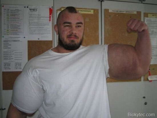 Musculos que dan asco - www.Biokytec.com-2