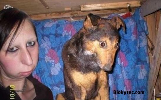 mujer mensa y perrito simpatico - www.Biokytec.com - bye
