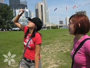 Taking pictures of the CN Tower