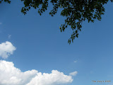 IMG_1587.JPG