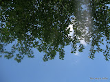 IMG_1608.JPG
