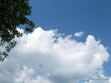 IMG_1622.JPG