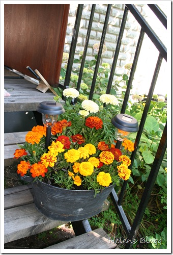 Blomster arrangemang