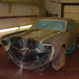 mustang paint.jpg