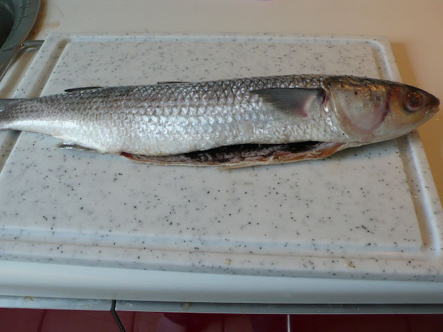 欢迎大家谈谈双立人、菲仕乐、弗欧woll的使用心得