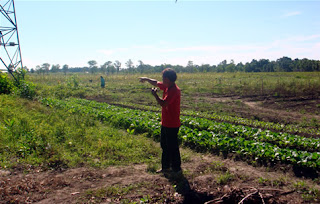 Day 4 - Part of the 5 hectare farm cultivated by deaf students led by Ptr. Sta. Ana