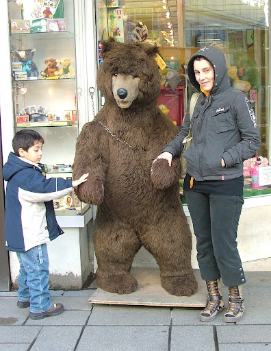 ursul