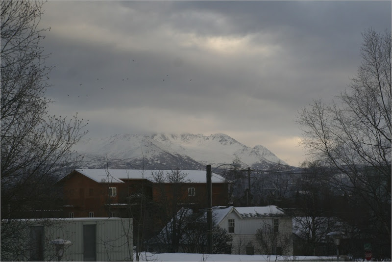 The view from the back window of the training center. 