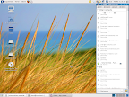 fedora-ilk-06.04.2009.png