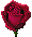 [flor1[5].gif]