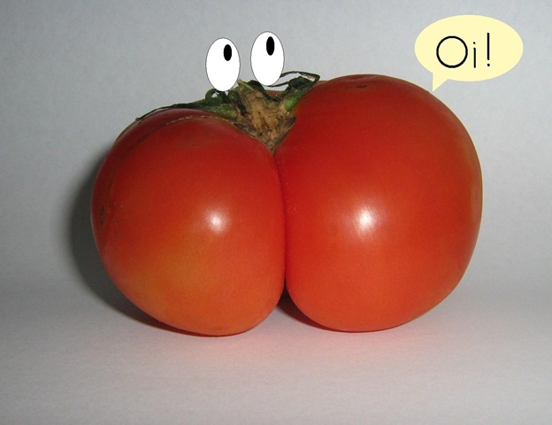[2009-09-19 - Tomate fêmea modificado[4].jpg]