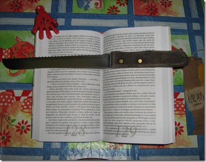 2010-04-19 Gambiarra literária 02