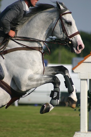 [2362129522_c3ce6282e5_b[2].jpg]