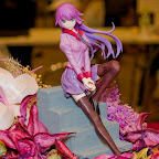 WF2010W_BS002_ナツメウナ_戦場ヶ原ひたぎ.jpg