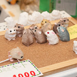 Nuts９.jpg