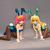 CARREYのらねこ同盟_とらドラ.jpg