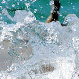 DSC_4643-1.JPG