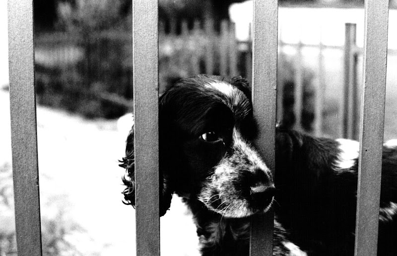 bw-0022.jpg