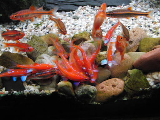 Картинка с форума