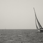 DSC01545.jpg