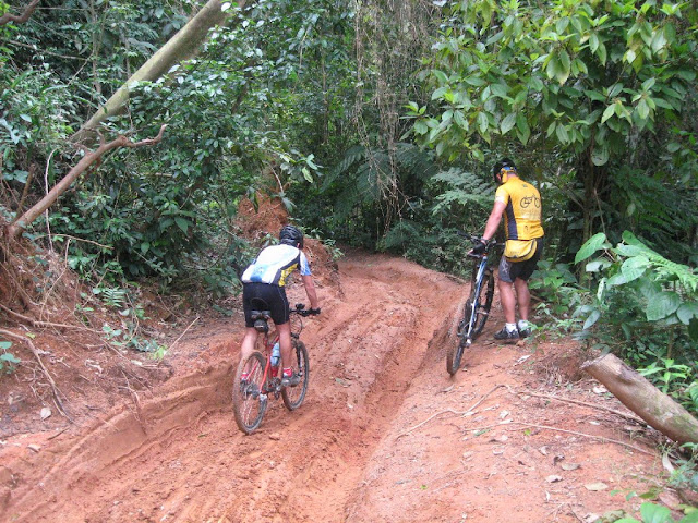 Foto von Trilha Castelhanos - Ilha Bela-SP
