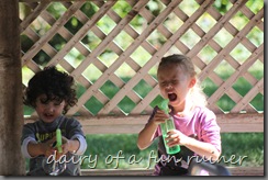 IMG_1967 IMG_1967