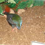 Picture 054 (Large).jpg