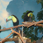 Picture 055 (Large).jpg