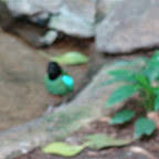Picture 058 (Large).jpg