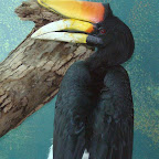Picture 060 (Large).jpg