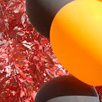 Fall Colors 3.jpg