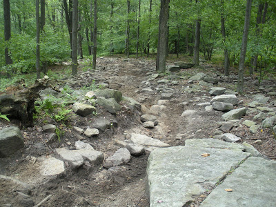 Marienville Bike Trail @ ANF Picture%20594