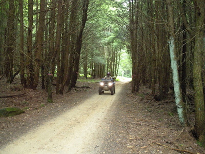 Marienville Bike Trail @ ANF Picture%20597