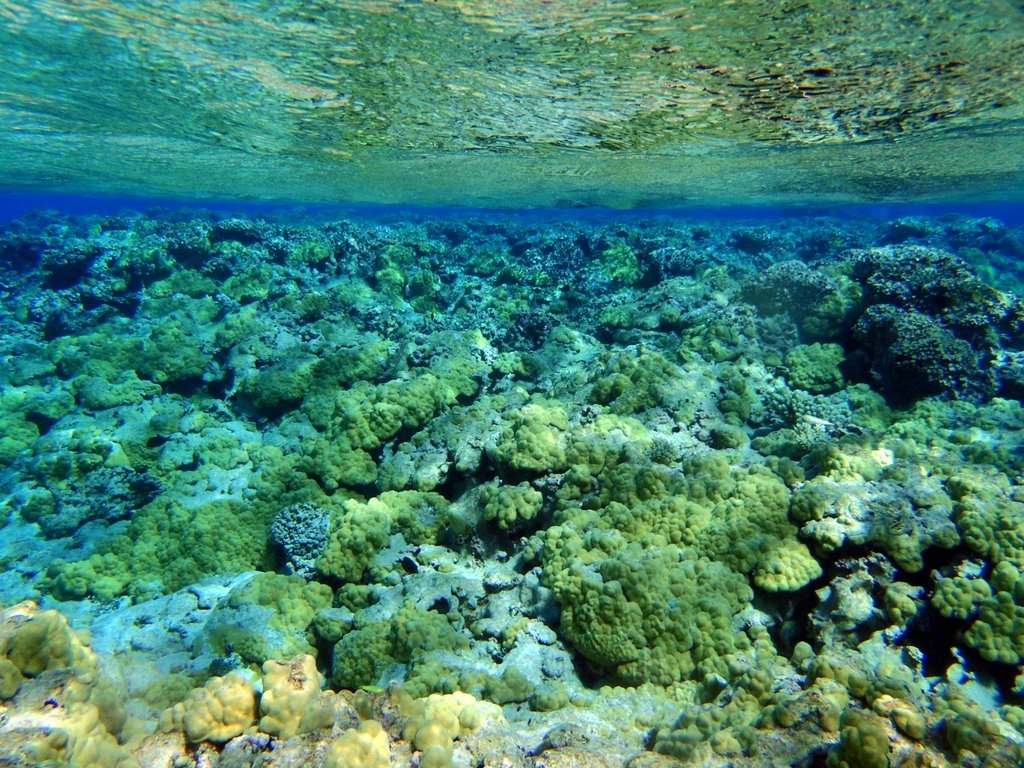 [P8170649[2].jpg]