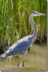  5 More Fishing Sayings and Quotations – Oct 10, 2009
