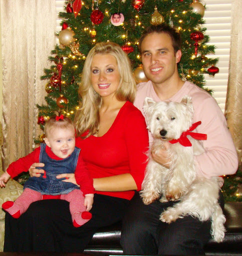 photo - funny christmas pictures
