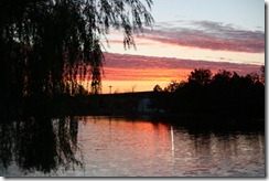 untitled-1181