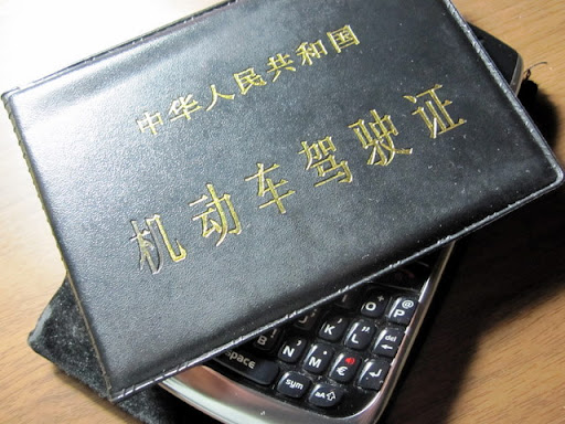  这十天